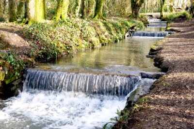 Waterfalls in Tehidy Woods in the Summer